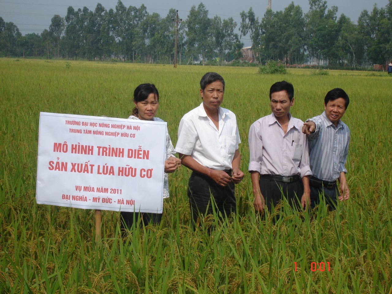 Trung tâm nông nghiệp hữu cơ nghiên cứu xây dựng quy trình sản xuất lúa hữu cơ tại Mỹ Đức, Hà Nội, 2010.